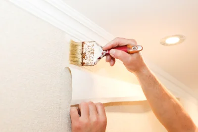 Pose de papier peint à Porte-des-Bonnevaux — revêtements muraux et toiles de verre